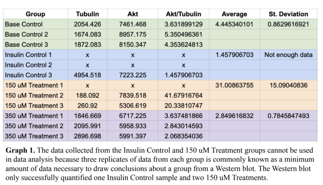 Graph 1. Normalized Akt/tubulin averages by group.